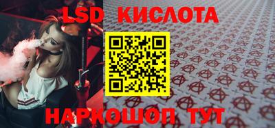 спайс Кингисепп