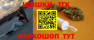 спайс Кингисепп