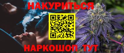 спайс Кингисепп