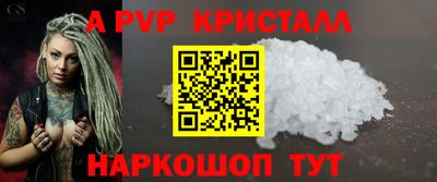 спайс Кингисепп