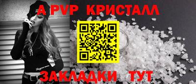 спайс Кингисепп