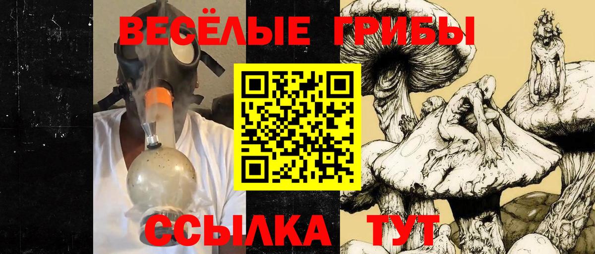 Псилоцибиновые грибы GOLDEN TEACHER  как найти   Шуя  Вход с VPN 